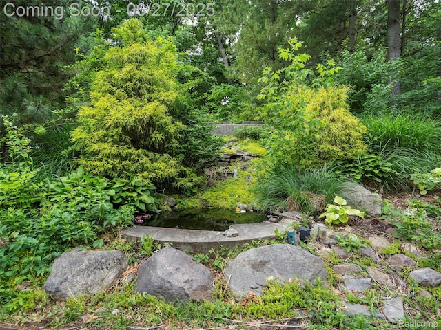 9767 Whisperwood Ln, Brighton, MI 48116 - view of yard