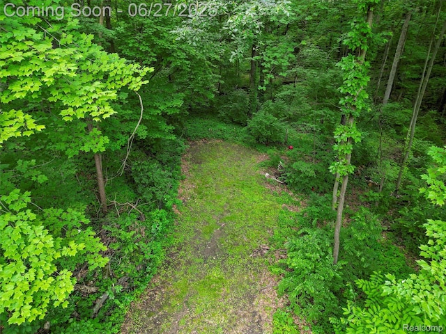 9767 Whisperwood Ln, Brighton, MI 48116 - view of local wilderness