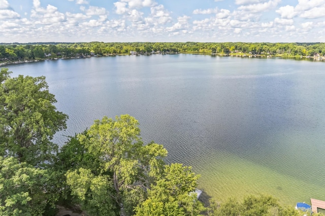 401 Glazier Rd, Chelsea, MI 48118 - photo 15