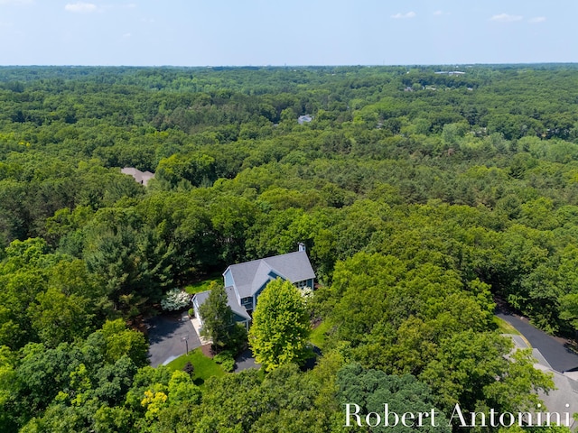 1977 Emerald Glen Ct NE, Ada, MI 49301 - bird's eye view of a heavily wooded area