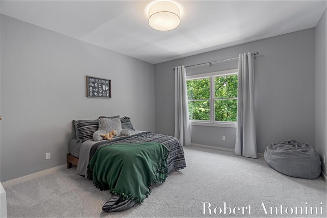1977 Emerald Glen Ct NE, Ada, MI 49301 - carpeted bedroom with baseboards