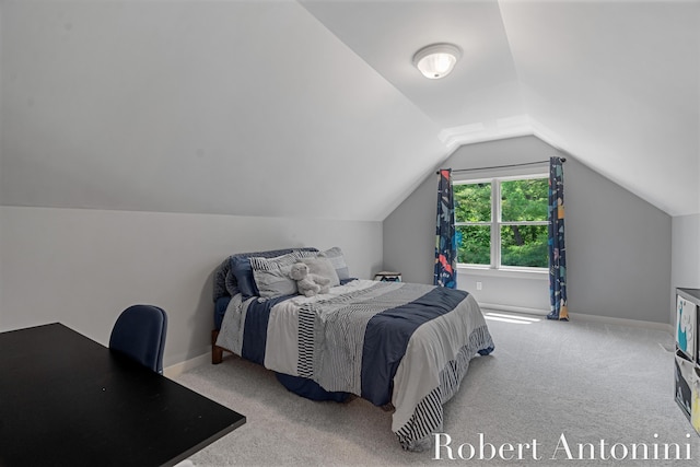 1977 Emerald Glen Ct NE, Ada, MI 49301 - bedroom with carpet floors and lofted ceiling