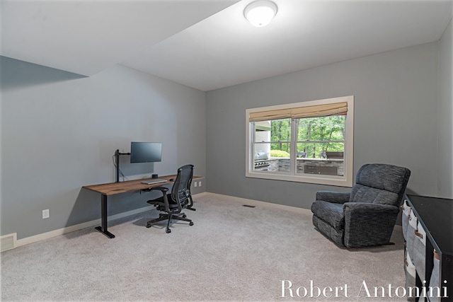 1977 Emerald Glen Ct NE, Ada, MI 49301 - office space with carpet and baseboards