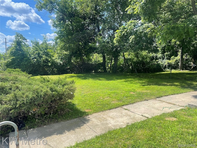 103 N Roselawn St, Pontiac, MI 48342 - view of green lawn