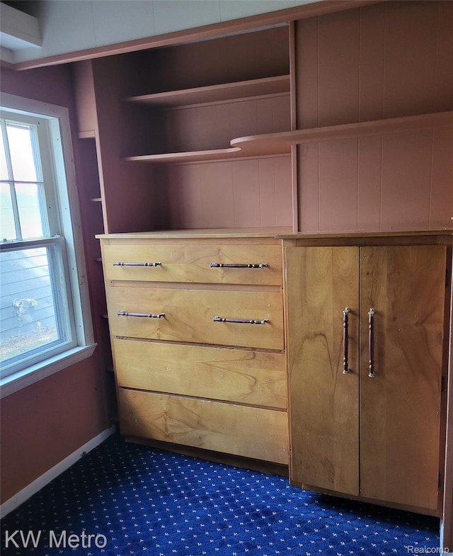 103 N Roselawn St, Pontiac, MI 48342 - view of closet