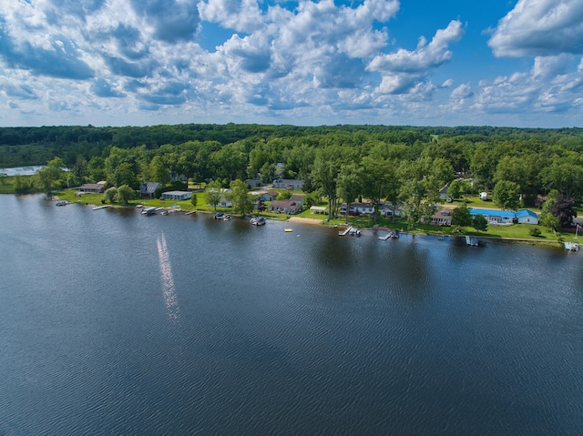 135 Teal Dr, Coldwater, MI 49036 - aerial view of a nearby body of water