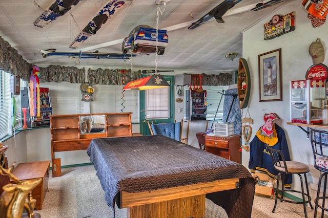 135 Teal Dr, Coldwater, MI 49036 - recreation room with carpet and pool table