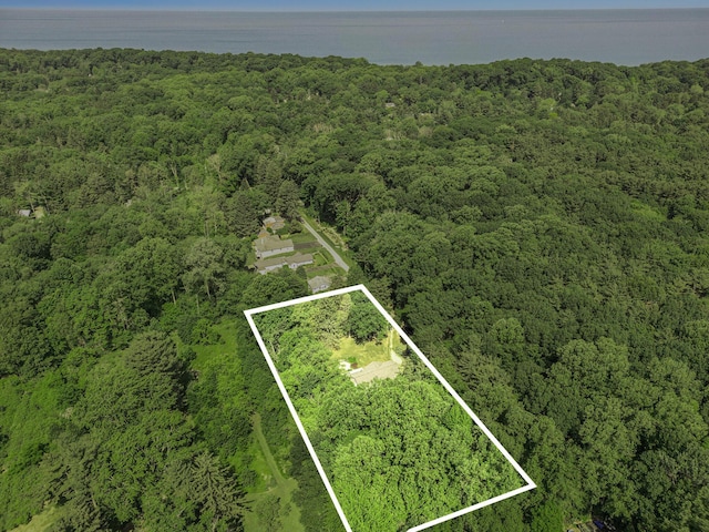 6368 E Lake Ln, Sawyer, MI 49125 - aerial view of property's location featuring a heavily wooded area and property boundaries highlighted