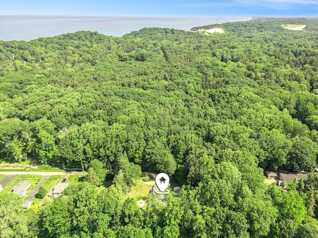 6368 E Lake Ln, Sawyer, MI 49125 - aerial view of property's location with a forest