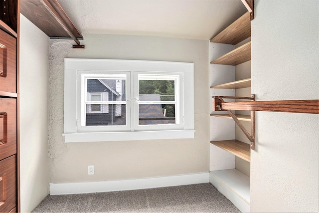 436 Quimby St NE, Grand Rapids, MI 49505 - spacious closet with carpet floors