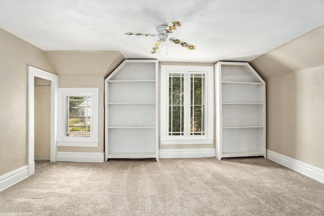 436 Quimby St NE, Grand Rapids, MI 49505 - bonus room with carpet flooring and lofted ceiling