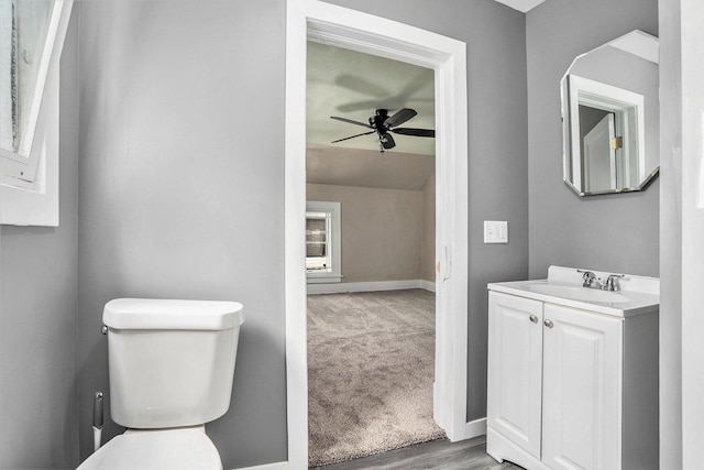 436 Quimby St NE, Grand Rapids, MI 49505 - bathroom with a ceiling fan, vanity, and wood finished floors