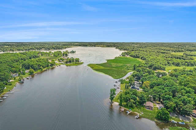 828 Russmiller Loop, Brooklyn, MI 49230 - drone / aerial view of a nearby body of water and a forest