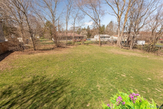 619 N Watkins, Perry, MI 48872 - view of yard