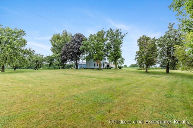 13872 Hastings Rd, Freeport, MI 49325 - view of green lawn