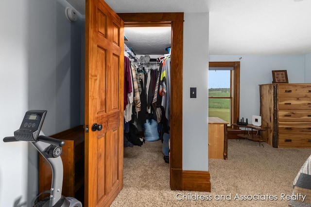 13872 Hastings Rd, Freeport, MI 49325 - hall featuring carpet flooring