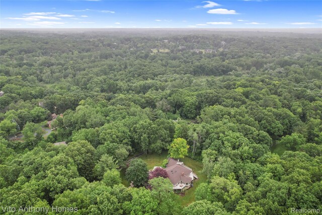 5300 Old Mill Rd, Rochester, MI 48306 - photo 28