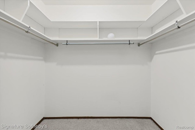 27671 W Echo Vly, Farmington Hills, MI 48334 - view of walk in closet
