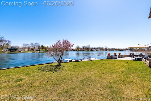 13229 Enid Blvd, Fenton, MI 48430 - water view featuring a boat dock