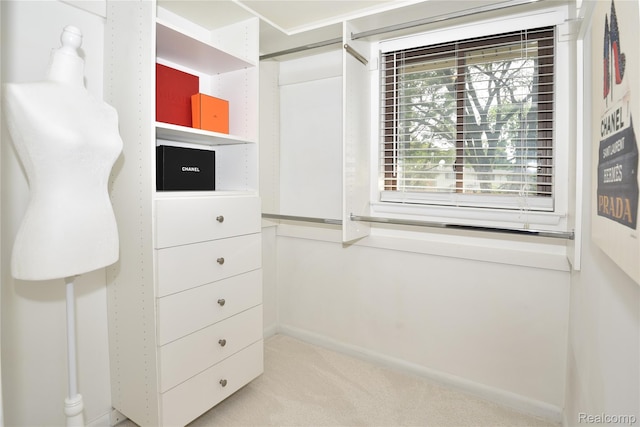 142 E Hickory Grove Rd Unit 3, Beverly Hills, MI 48304 - walk in closet with carpet