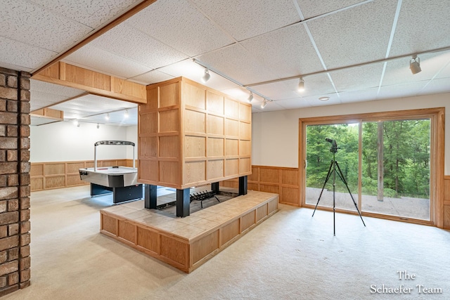 175 Honey Creek Ave NE, Ada, MI 49301 - unfurnished living room featuring rail lighting, wainscoting, carpet floors, and wooden walls