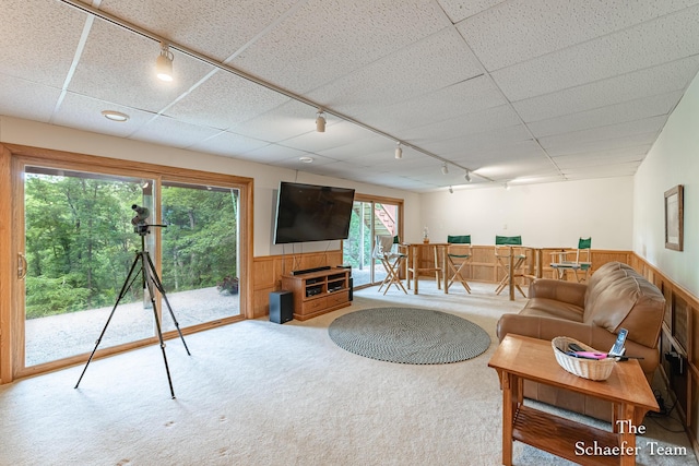 175 Honey Creek Ave NE, Ada, MI 49301 - carpeted living area featuring track lighting, a wainscoted wall, and wood walls