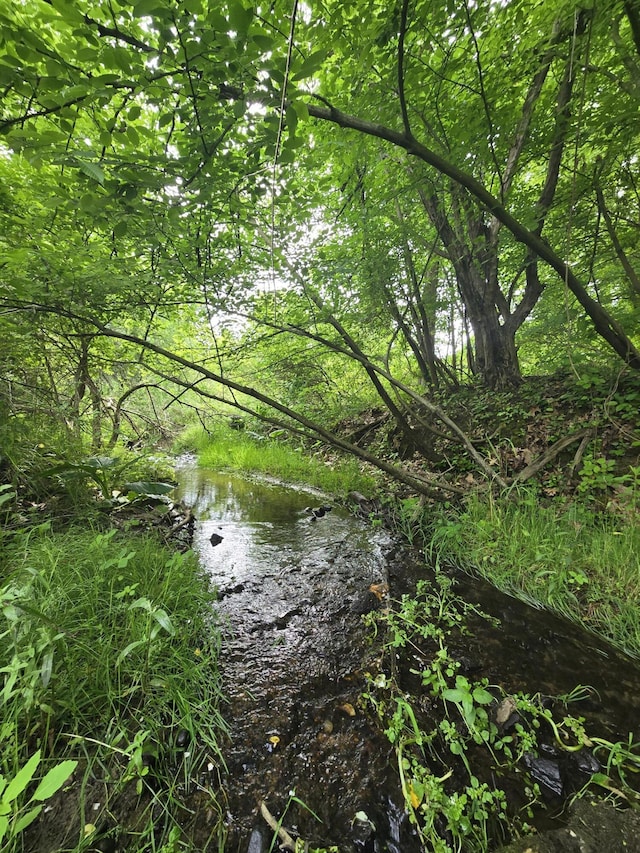 175 Honey Creek Ave NE, Ada, MI 49301 - water view