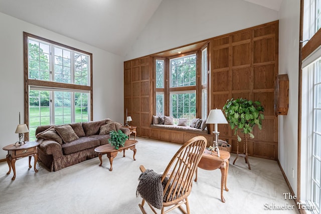 175 Honey Creek Ave NE, Ada, MI 49301 - living room featuring carpet floors, high vaulted ceiling, and healthy amount of natural light