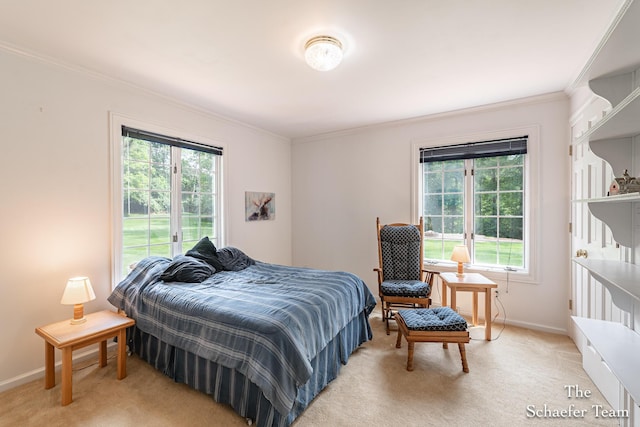175 Honey Creek Ave NE, Ada, MI 49301 - bedroom with multiple windows, crown molding, and light carpet