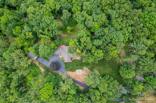175 Honey Creek Ave NE, Ada, MI 49301 - aerial overview of property's location