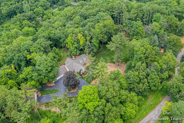 175 Honey Creek Ave NE, Ada, MI 49301 - aerial view of property's location