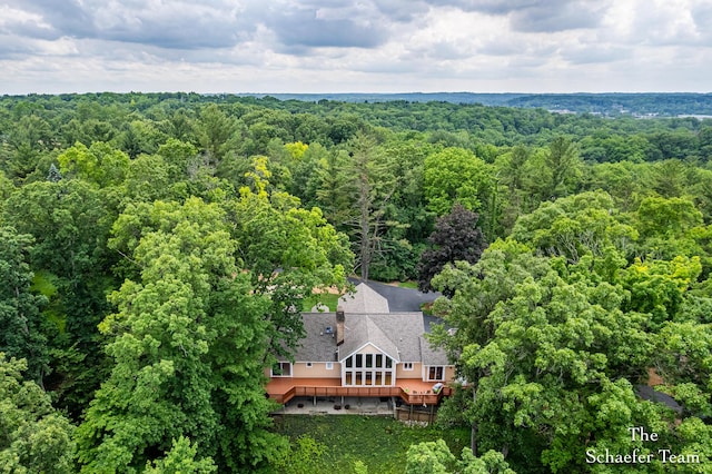 175 Honey Creek Ave NE, Ada, MI 49301 - aerial view of property and surrounding area with a heavily wooded area