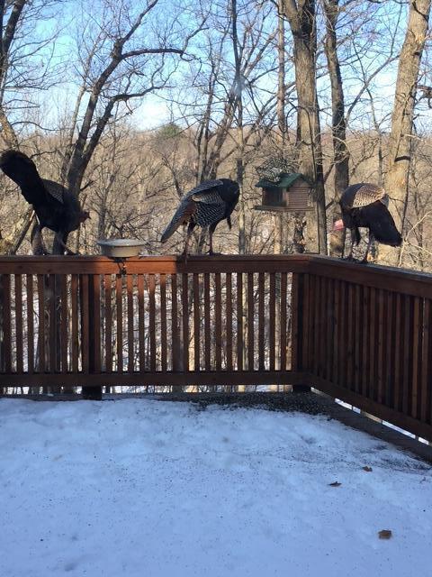 175 Honey Creek Ave NE, Ada, MI 49301 - view of snow covered deck