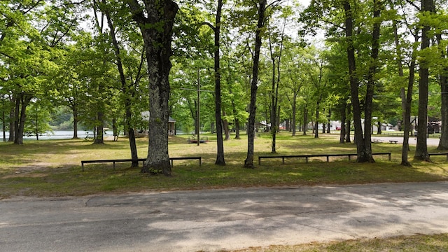 1686 Oak St, Wellston, MI 49689 - view of community