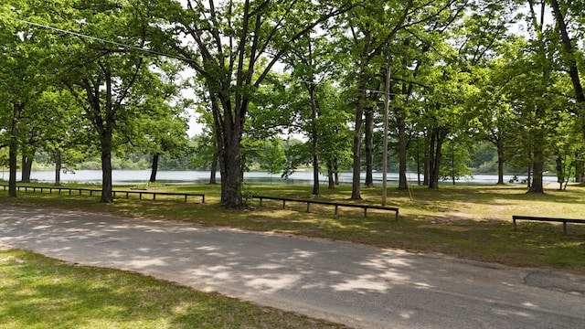 1686 Oak St, Wellston, MI 49689 - view of home's community with a water view