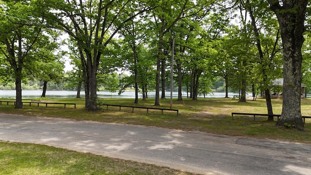 1686 Oak St, Wellston, MI 49689 - view of community with a water view