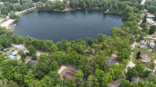 1686 Oak St, Wellston, MI 49689 - aerial view of property and surrounding area featuring a nearby body of water