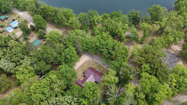 1686 Oak St, Wellston, MI 49689 - drone / aerial view