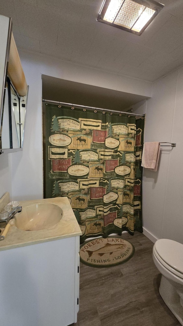 1686 Oak St, Wellston, MI 49689 - bathroom with vanity, wood finished floors, and a shower with curtain