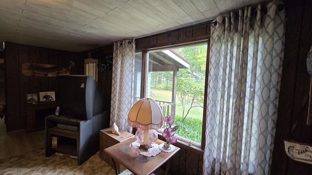 1686 Oak St, Wellston, MI 49689 - living area with healthy amount of natural light, carpet flooring, and wooden walls