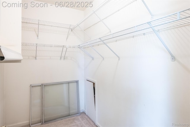 24475 Jamestowne Rd, Novi, MI 48375 - walk in closet with light carpet