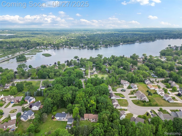 1500 Rustic Ln, Commerce Twp, MI 48390 - bird's eye view of a large body of water
