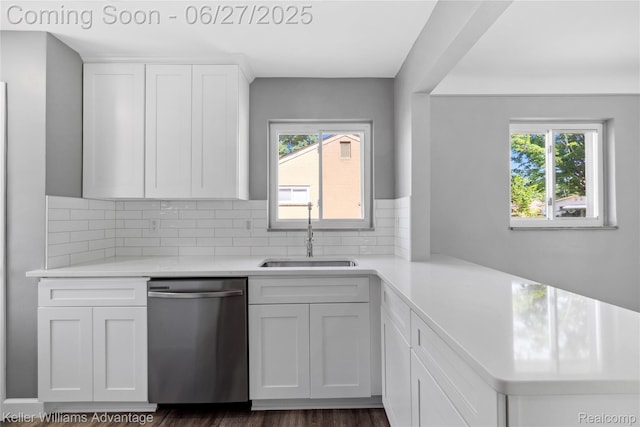 36669 Pinetree St, Livonia, MI 48150 - kitchen featuring stainless steel dishwasher, light countertops, plenty of natural light, and tasteful backsplash