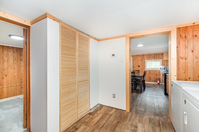 4790 Goodar Rd, South Branch, MI 48761 - photo 15
