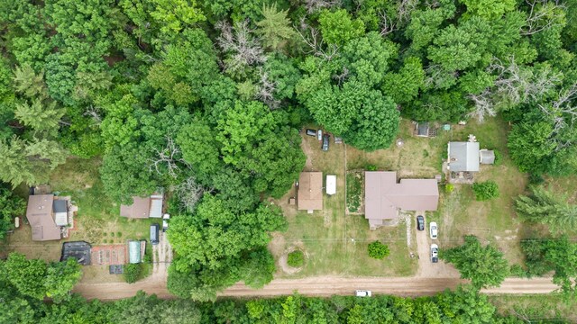 4790 Goodar Rd, South Branch, MI 48761 - photo 19