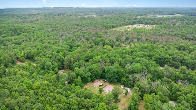 4790 Goodar Rd, South Branch, MI 48761 - photo 20