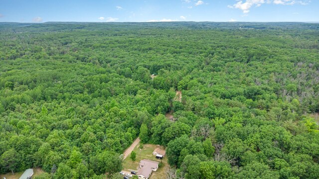 4790 Goodar Rd, South Branch, MI 48761 - photo 21