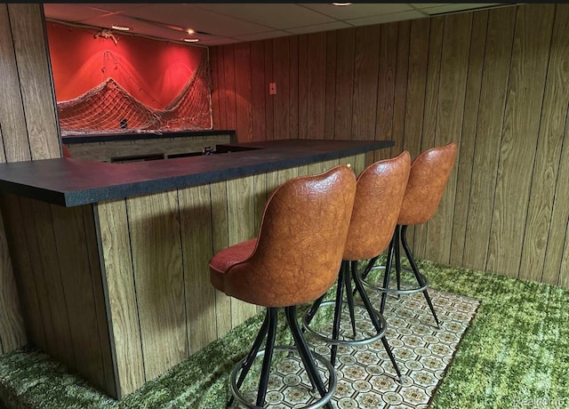 24739 Blackmar Ave, Warren, MI 48091 - indoor dry bar with wooden walls
