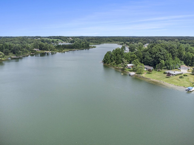 11512 Willow Cove Dr, Dowling, MI 49050 - aerial view of a large body of water and a heavily wooded area