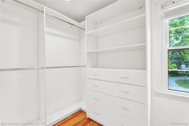 4770 Hedgewood Dr, Bloomfield Hills, MI 48301 - walk in closet featuring light wood-style floors